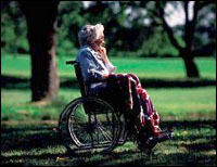 �������� � �������