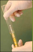 ����������� � ����������