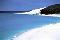 ������� �����: ��������� �������