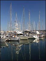 ������� �����: ��������� �������