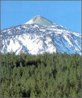 ������� �����: ��������� �������