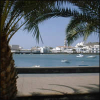 ������� �����: ��������� �������