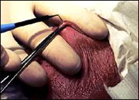 ���������� - ������������� ������������ ��� ������