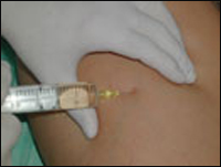 ������� ������������