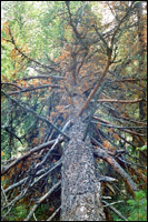 ��������� �� �������� �����