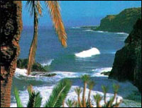 ��������� �������: �������� � �������