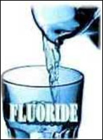 ������ ������ �����