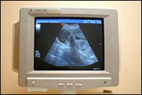 ������� ������������