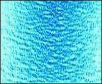 ��������. ��������-������ ����� �� �����