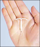 ������������. ����������� ������������