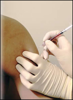 ������� ��������. ��������������������