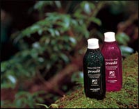 ���� ��������� ���� �������, ������� � ������ ������� �������� � ����