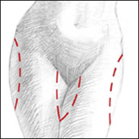 ��������. ��������������� ������� ��������� � �������� �������������