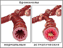 ������������ �����