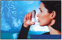 ������������ �����