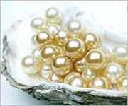 ����������� ��������� Hyalogy Platinum: ������������ �����������