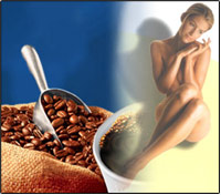 ���� ��� ��������������� ��������