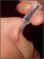 ''������'' - ������ �� �������� � ���������