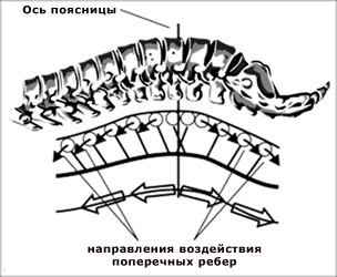 Когда болит спина