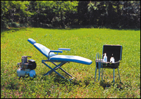 Castelllini: ����������� ����������������� ���������