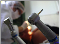 ������������: ������ ������ �� �����