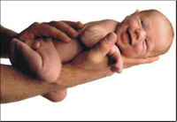 ���� ����� �����: ���� � ��������