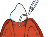 ��� ������ ����������