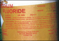 �������� ���������� ������ ����