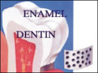 �������� ���������� ������ ����