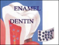 �������� ���������� ������ ����