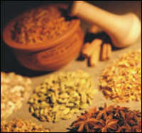 �������� ���������� ������ ����