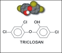 �������� ���������� ������ ����