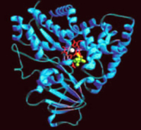 �������� ���������� ������ ����