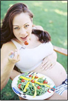 ������������ ������������: ������������ �����������