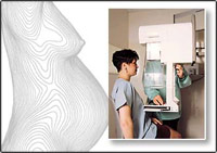 ������������ ������������: ������������ �����������