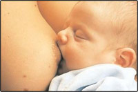 ���������������. ����������� ������ ���� � ������� ���������